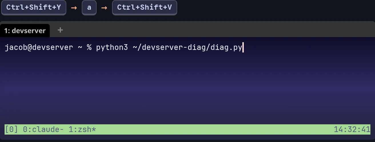 After Ctrl+Shift+Y, a and Ctrl+Shift+V the zsh prompt in the other tmux window has python3 ~/devserver-diag/diag.py on it, not run yet.